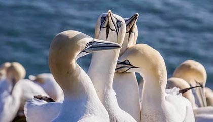 回归训练馆！利拉德更新社媒晒出自己投篮训练视频