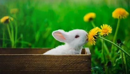 回归训练馆！利拉德更新社媒晒出自己投篮训练视频